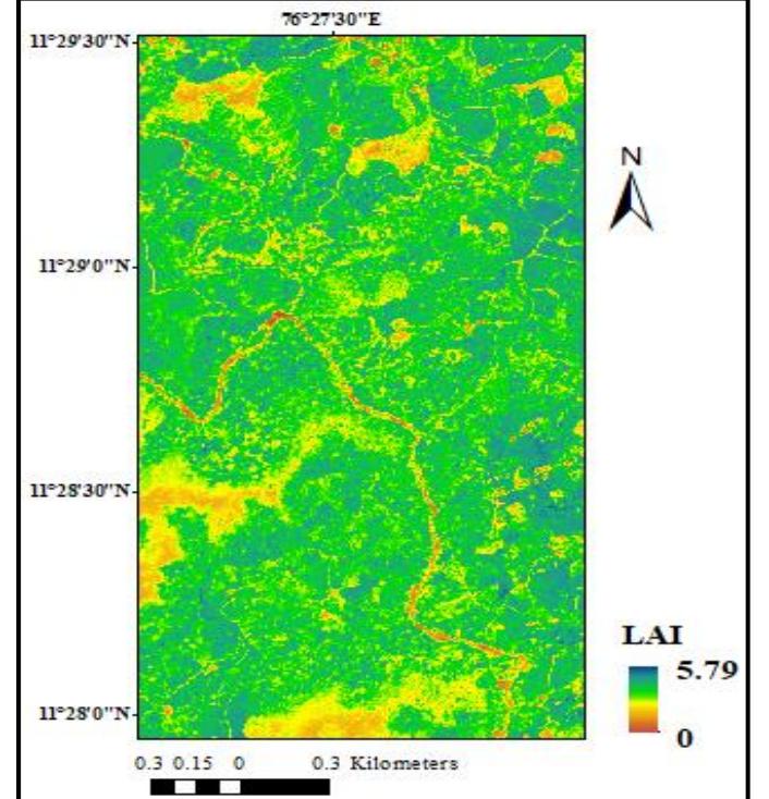 Figure 10 - Estimation of Biomass and Leaf Area Index in the