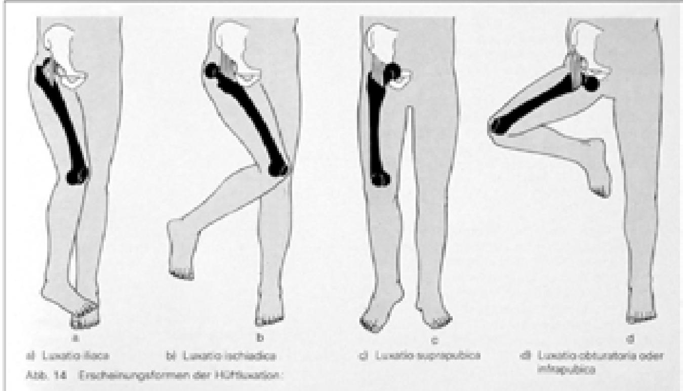 Figure 15 - from Alicia MARAVELIA_Ancient Egyptian,