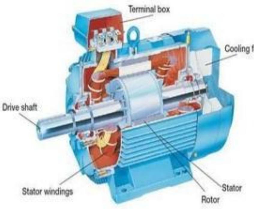 Internal parts of induction motor