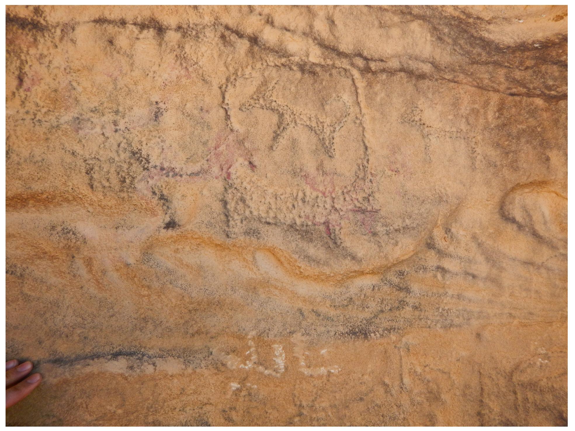 Figure 4. Example of petroglyphs from a vertical bedrock surface near Beidha (Sig al-Amti) (photograph by W.M. Kennedy). 