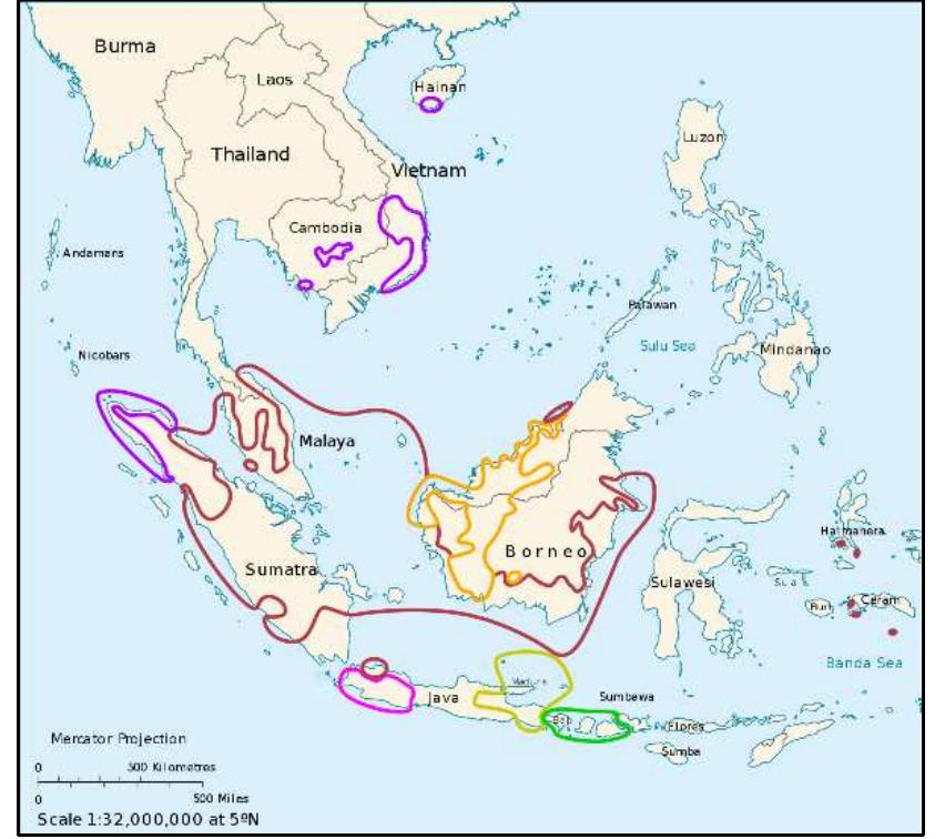 Figure 5: The Chamic langauges (< Austronesian) in purple 