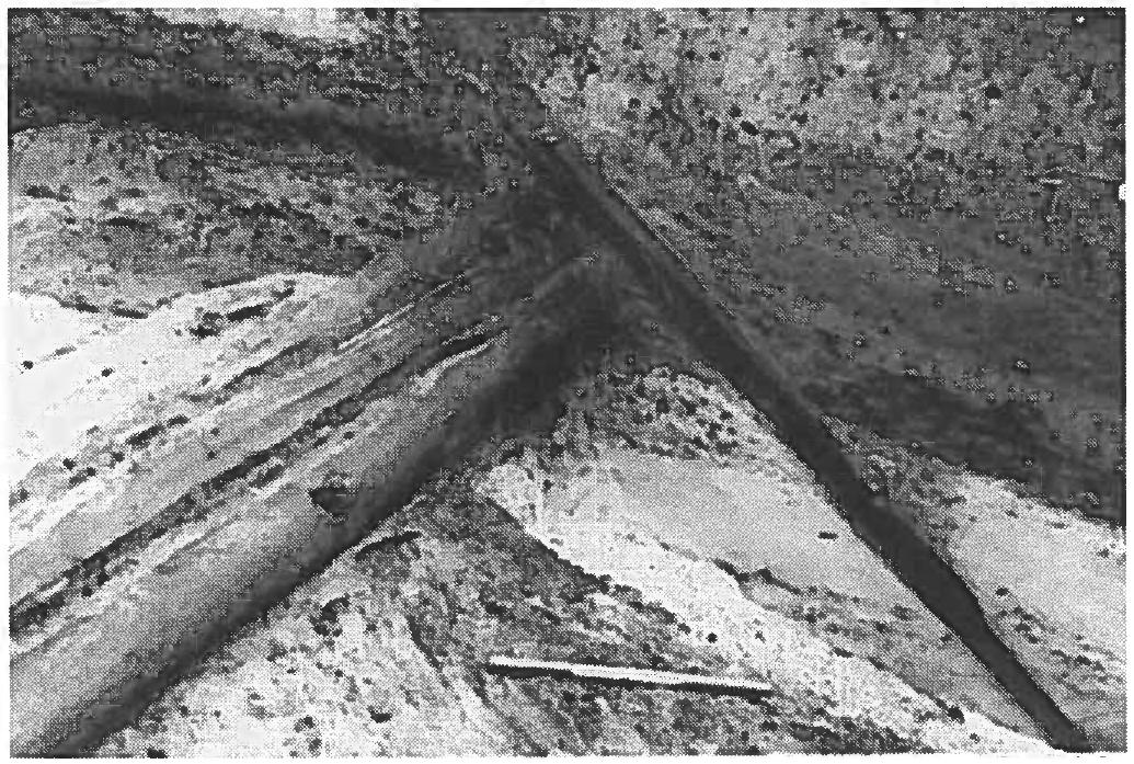Fig. 4. — The revetment on the north side of the Kanhave Canal. Photo ANJ.  ig. 3. — Kanhave 1995, the site of excavation, with the draining system. Photo ANJ. 