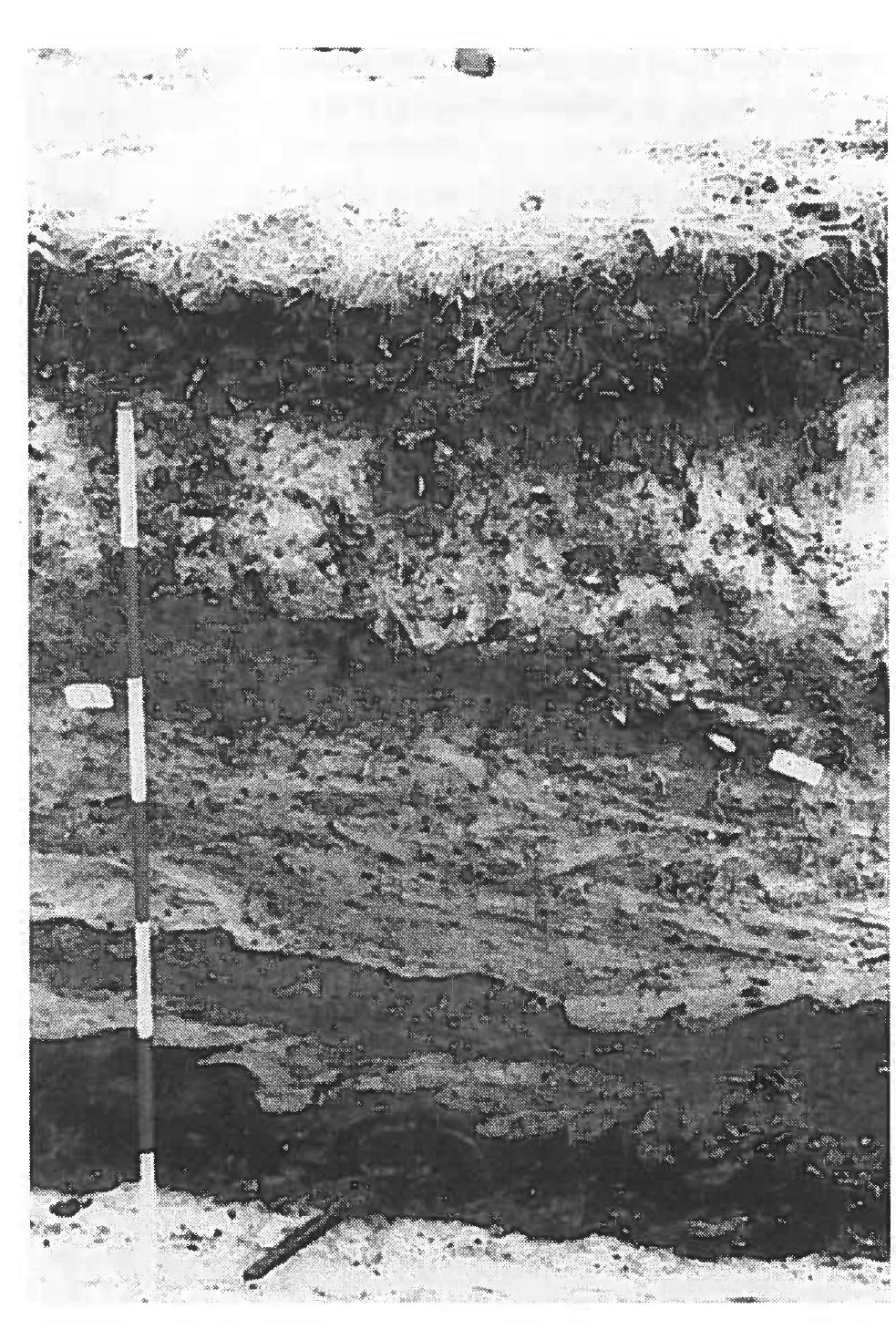 ‘ig. 5. — A section of the many soil layers in the cross-section of th canal-trench. Photo ANJ. 