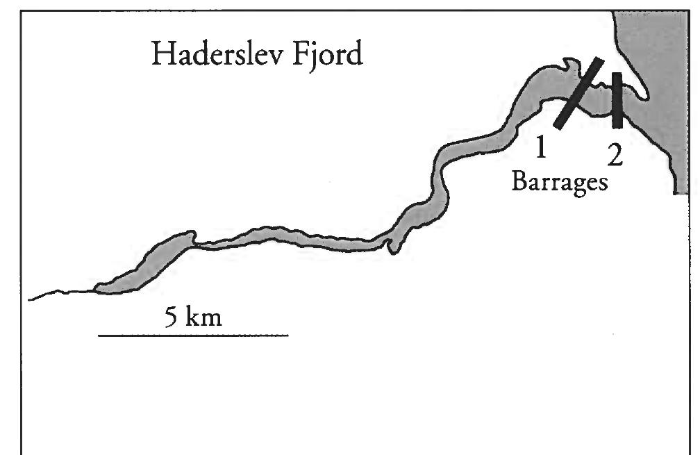 In connection with the project a methodi- cal analysis type was drawn up for studying the hinterland of the sea defences, in order to place the sea defences in a cultural history context. The project was given a further boost by the arrange- ment of a symposium, Military Aspects of Scan- dinavian Society in a European Perspective AD 1-1300, which was held at the National Museum of Denmark in 1996 and published in 1997 as a  provisional rounding-off of the project.  Fig. 3. The barrages 1) AE Lei and 2) Margrethes Bro in Haderslev Fjord. 