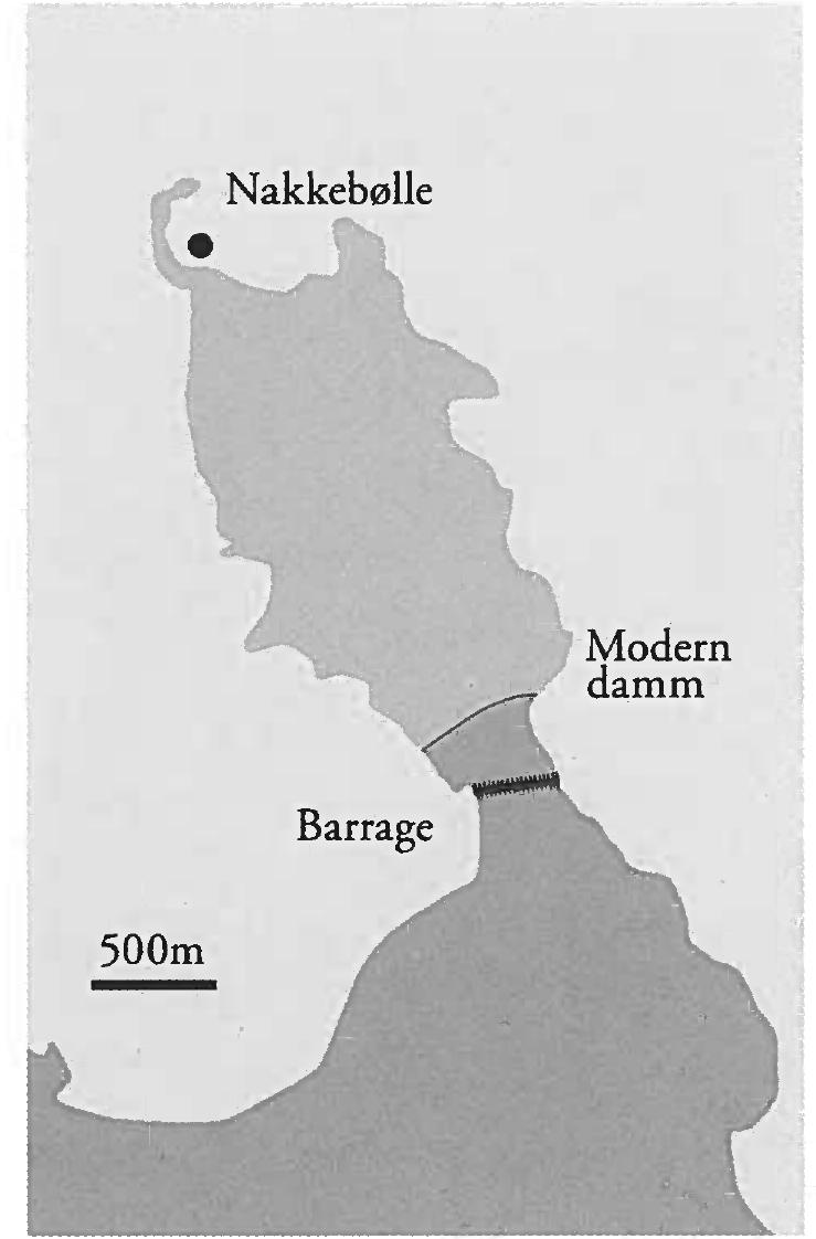 Fig. 6. The Barrage in the Nakkebolle Fjord. Graphics Pia Brejnholt.  Let us go on to South Funen, to the recently  discovered barrage in Nakkebolle Fjord (Fig. 6). As the aerial photo shows (Fig. 7), the fjord is dammed up, and just outside the damming lies a 