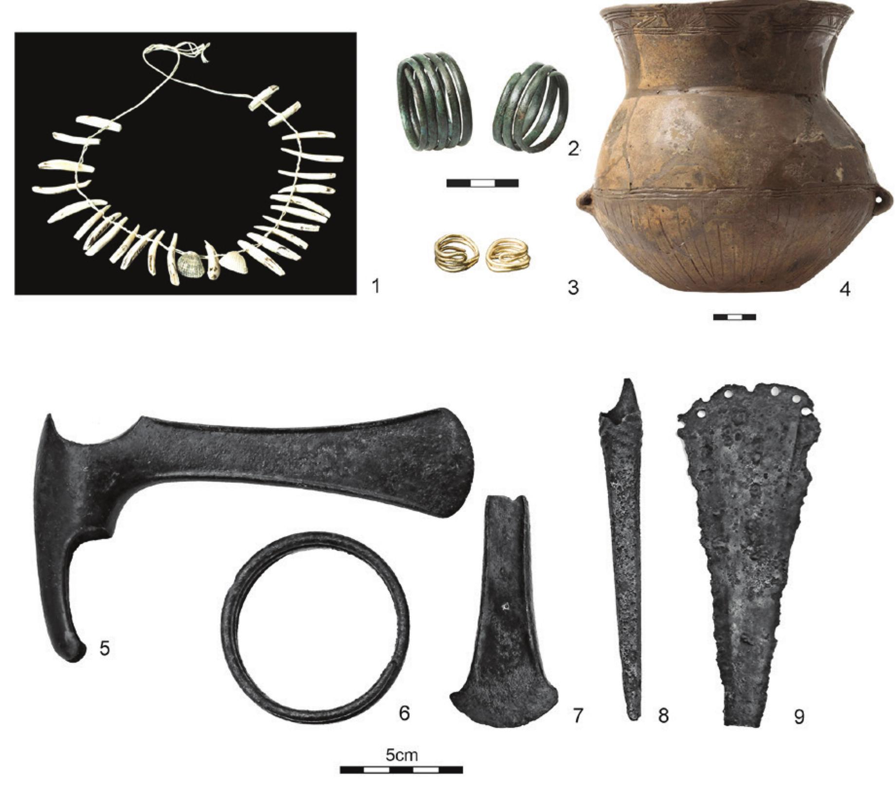 Fig. 9: Burials from the beginning of the Middle Bronze Age. 1-4. Cremation burial no. 8464 from Gyér-Ménfécsanak, Széles-f6ldek (MELIs 2013); 5-9. Balatonakali (Kiss in print, fig. 3). 