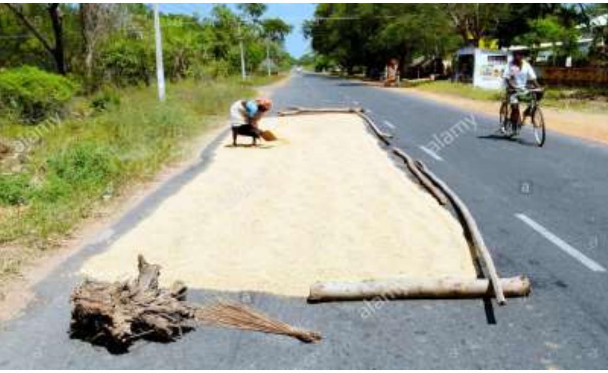 Solar Drier Rice (PDF) AN OVERVIEW OF SOLAR RICE DRYERS