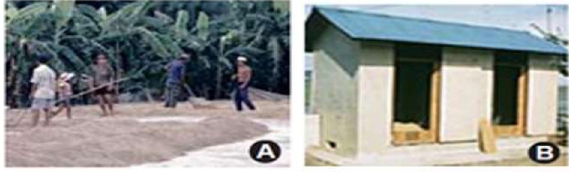 Solar Drier Rice (PDF) AN OVERVIEW OF SOLAR RICE DRYERS