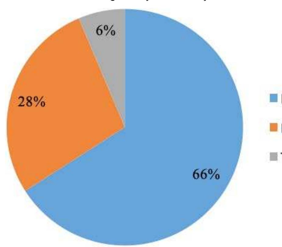 Grafico 1 - Cursos de graduacao em Danca no Brasil
