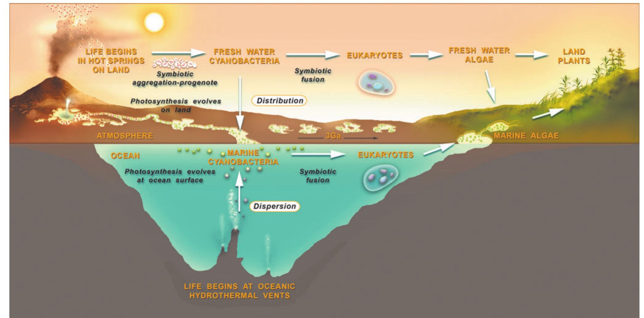 (PDF) The Hot Spring Hypothesis for an Origin of Life