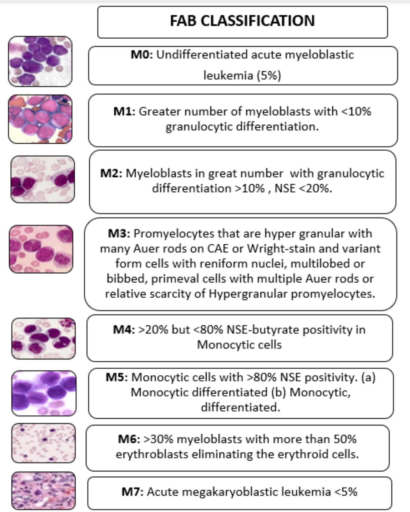 (PDF) Insights into Acute Myeloid Leukemia: Critical Analysis on its ...