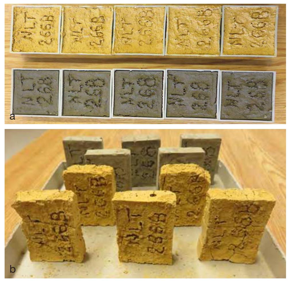 Fig. 2.3. a. Briquettes of clay NLT 268 and NLT 266B; b. briquettes arying on their smallest side.  A gneiss boulder collected in Sipplingen was fired in a Nabertherm Ceramotherm N100 electrical kiln at 850°C 