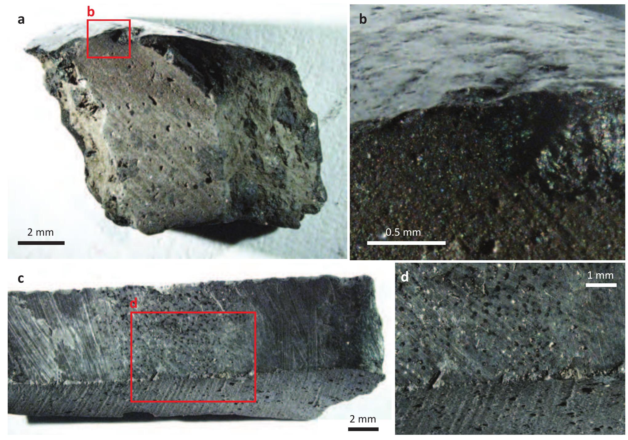 Fig. 5.10. Binocular images of two fragments of pot NLT 267 G FBK.  Figures 5.10-5.12 show a distinct black surface layer of  enaagleene we Ee tee | Lele eee we taevees + con Totten AR Fol oe: 