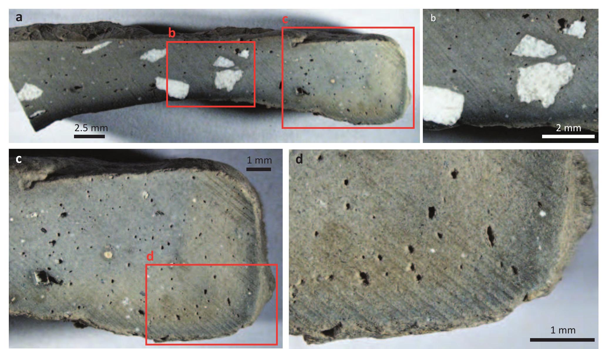 Fig. 5.13. Binocular images of a fragment of pot NLT 267 C FB. 
