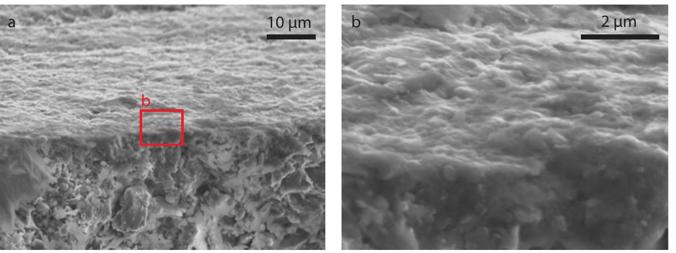 Fig. 5.176. SEM images of area 2 of pot fragment NLT 267 R FBK; a: tension of 10 kV, spot 4.0; b: tension of 6 kV, spot 2.C 