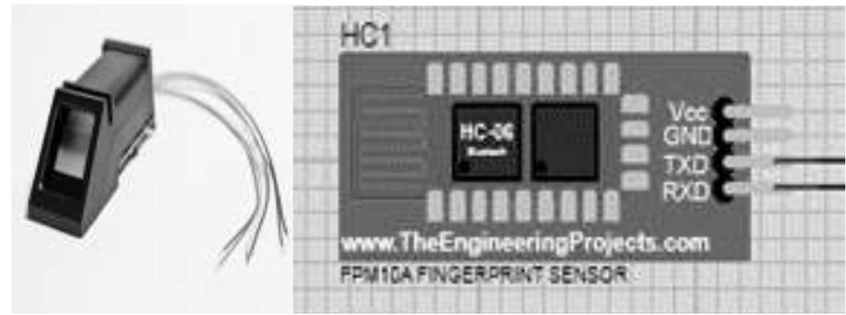 Fpm10a fingerprint sensor and its pin outs. makes the