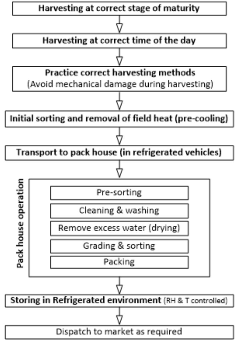 Figure 3 - from Reducing post-harvest losses in fruits and