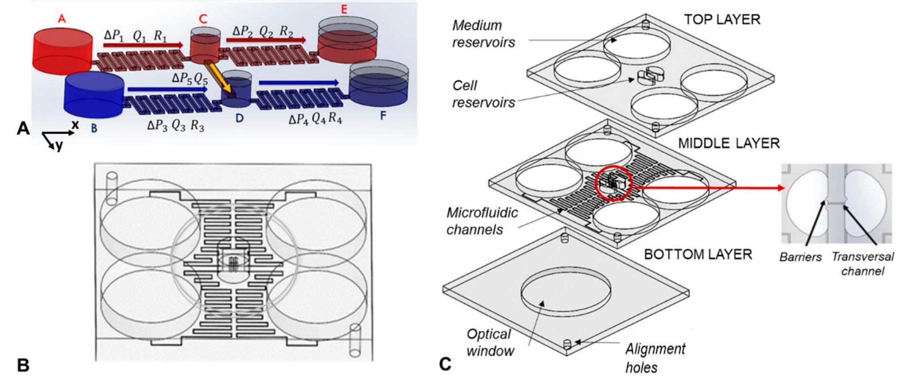 Figure 1 - from A Passive Microfluidic Device for Chemotaxis