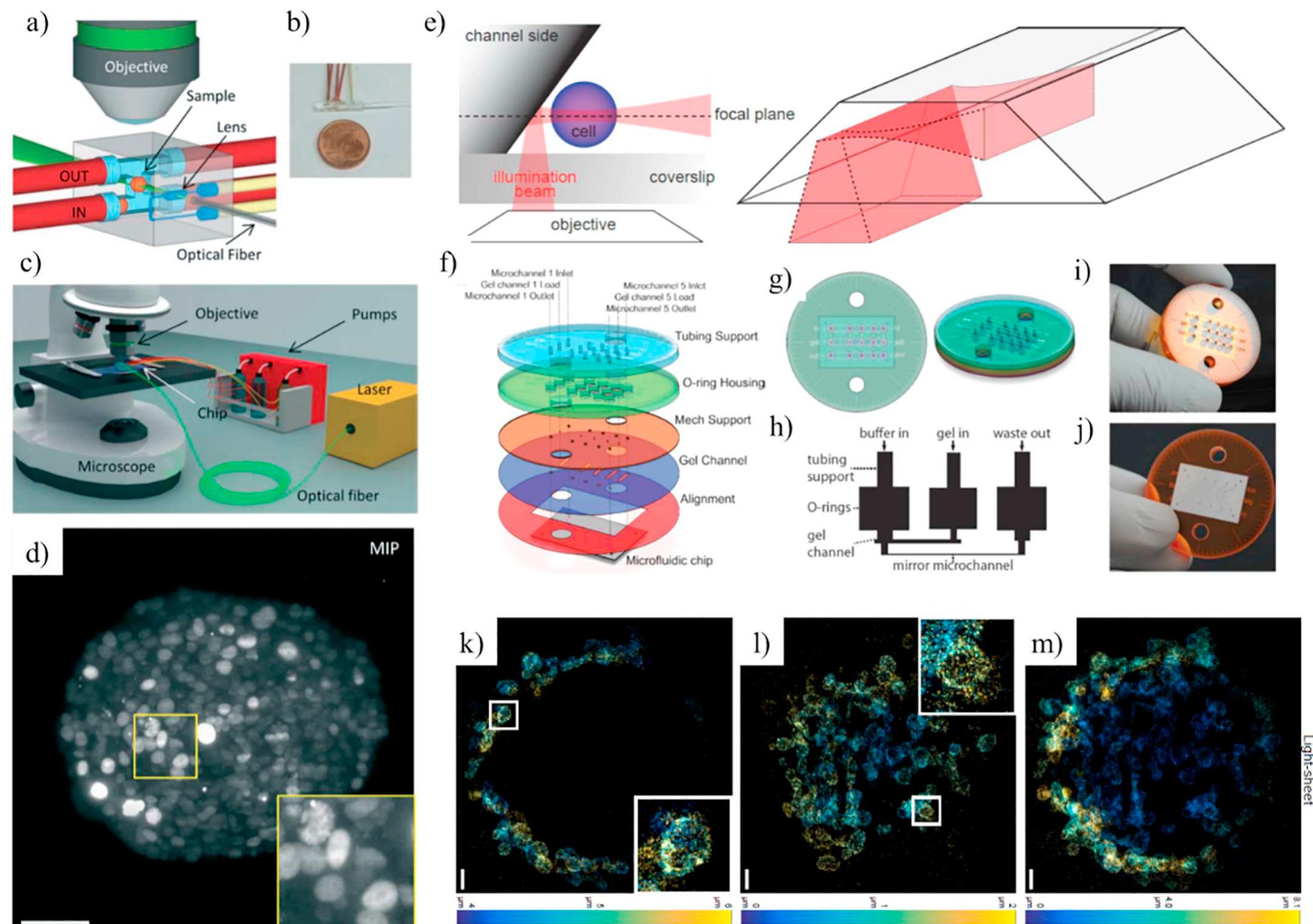 (PDF) Microfluidic platforms for cell cultures and investigations
