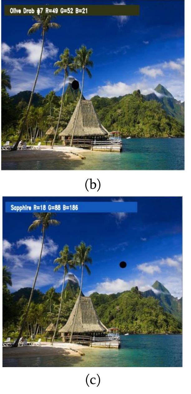 Figure 4 - Color Detection of RGB Images Using Python and