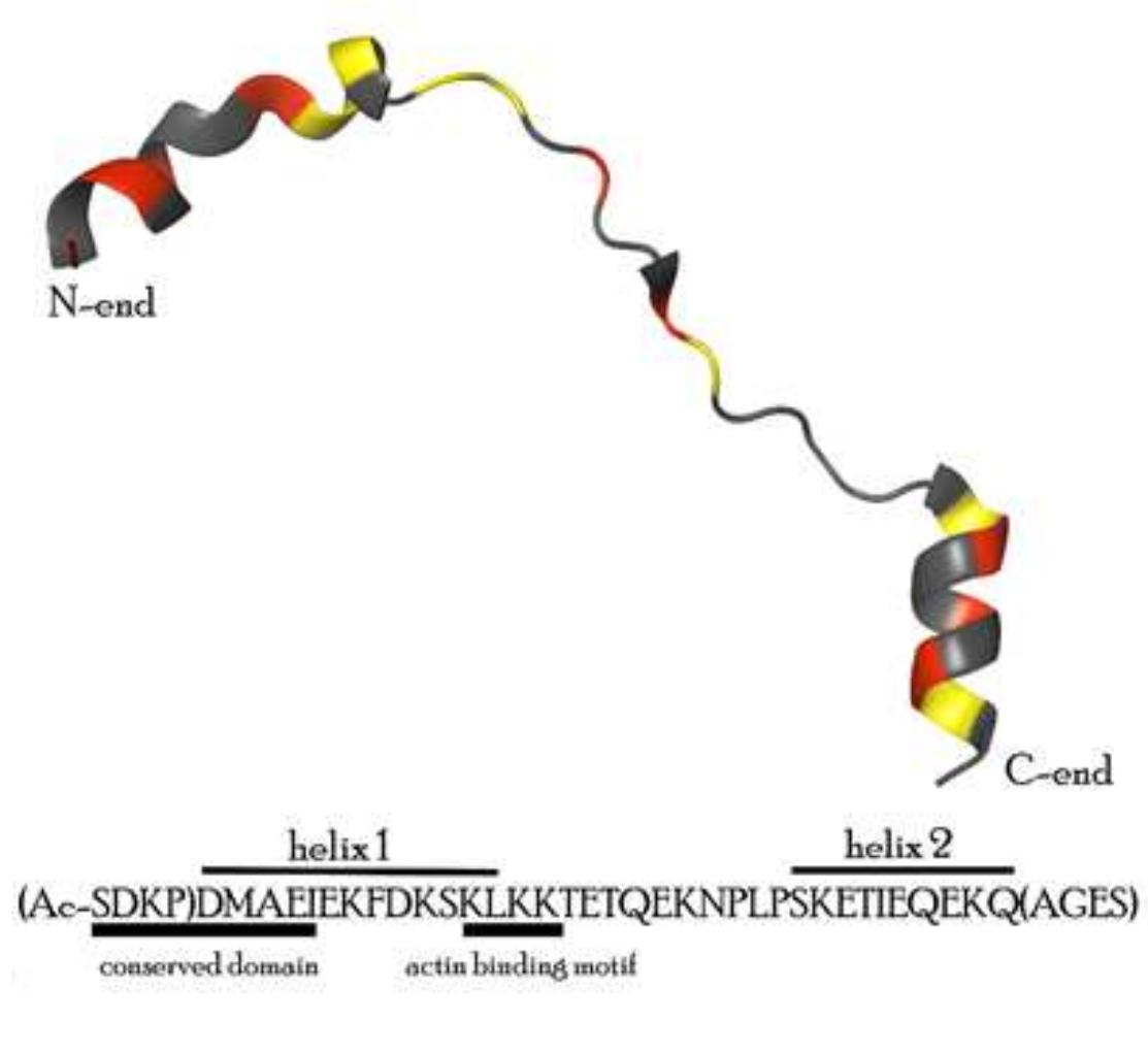 Tb4 Figure 2 - from Metal coordination of thymosin β4: Chemistry