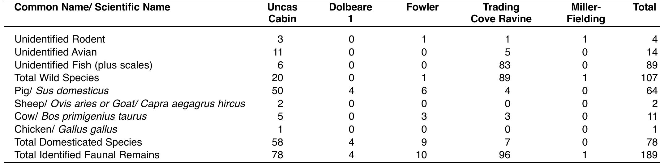 Remain Count Table 47 - from Current Northeast Paleoethnobotany II