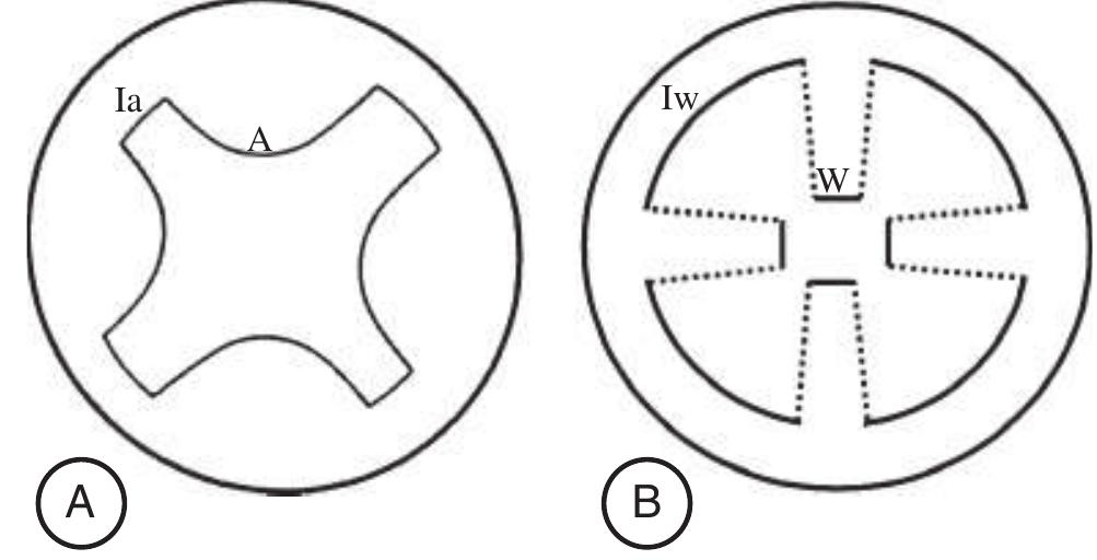 (PDF) The rise and evolution of the cambial variant in Bignonieae ...