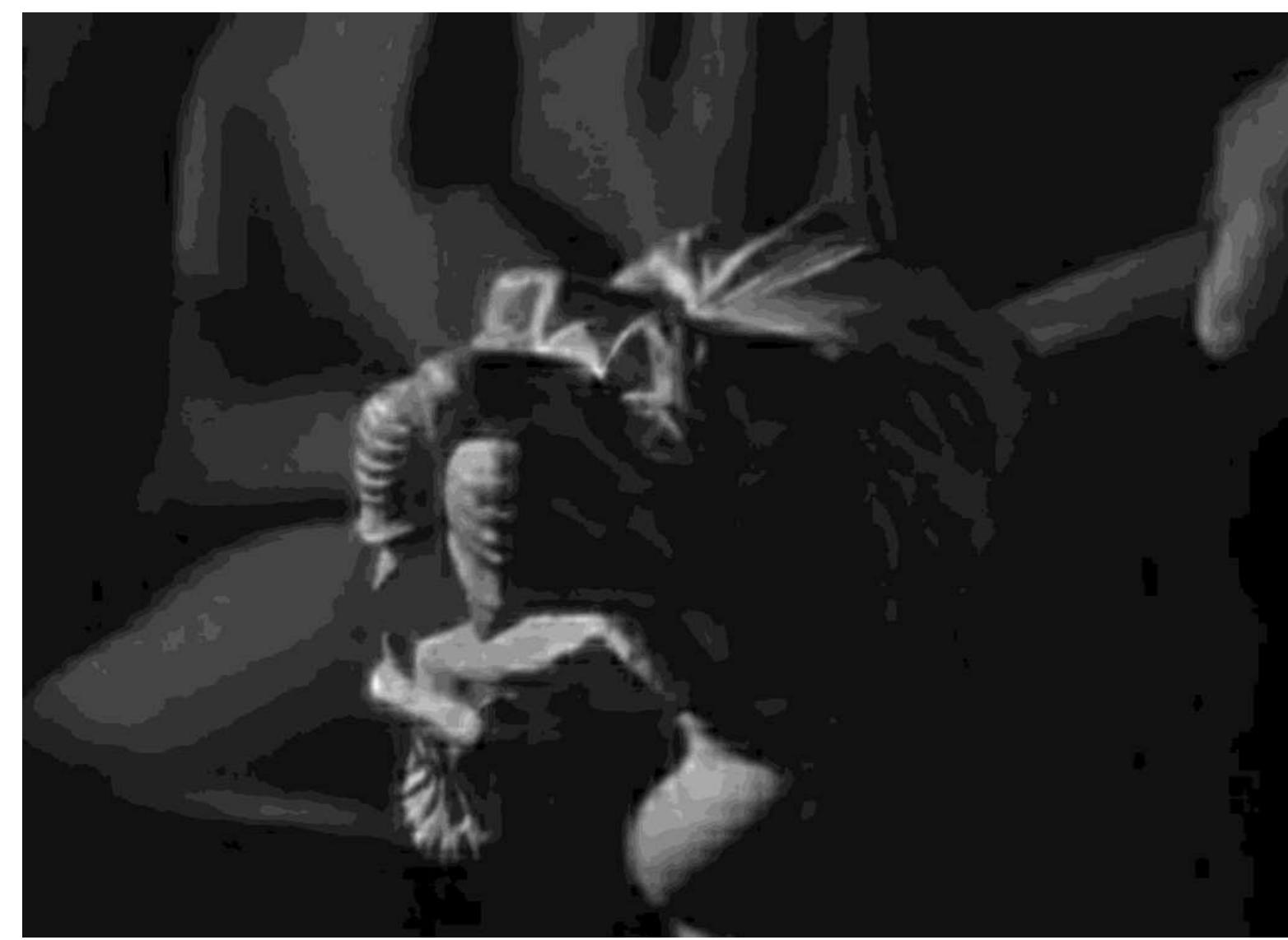 Figure 6 - Jean Cocteau, La Belle et la Béte, armchair lion, film still 