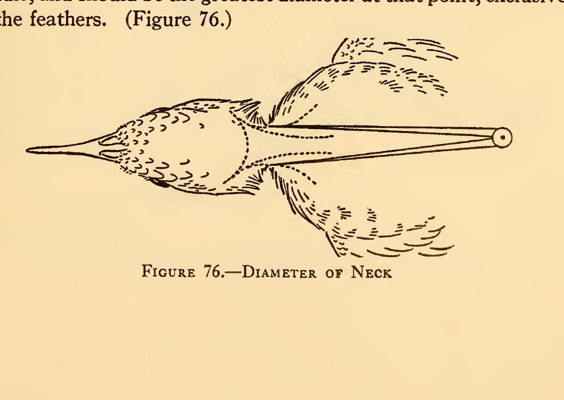 (PDF) Measurements of birds