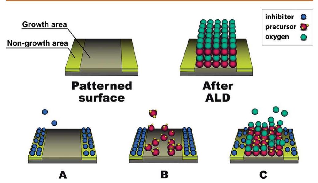 (PDF) Area-Selective Atomic Layer Deposition of SiO2 Using ...