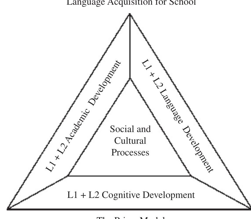 Prism model (copied with permission). he use of students’