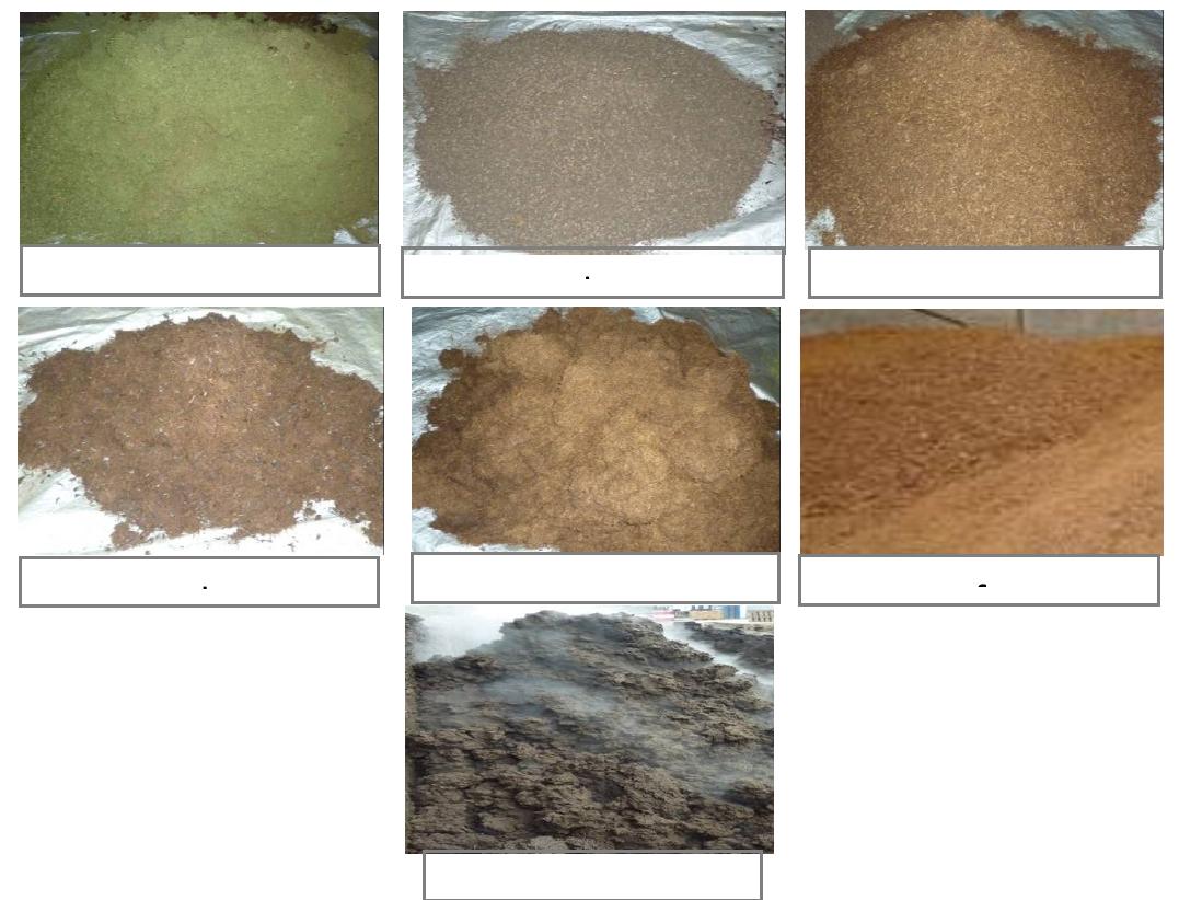 (PDF) The Nutrient Potency of Palm Oil Plantation and Mill’s By-product ...