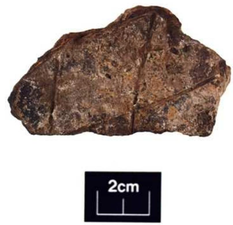 Fig. 4. Inscribed ceramic fragment, possibly a game board corresponding to our type 1A. Found at Venta Icenorum.  TNeenane TT wel awn, ONTO 2. 410 Le Wl 
