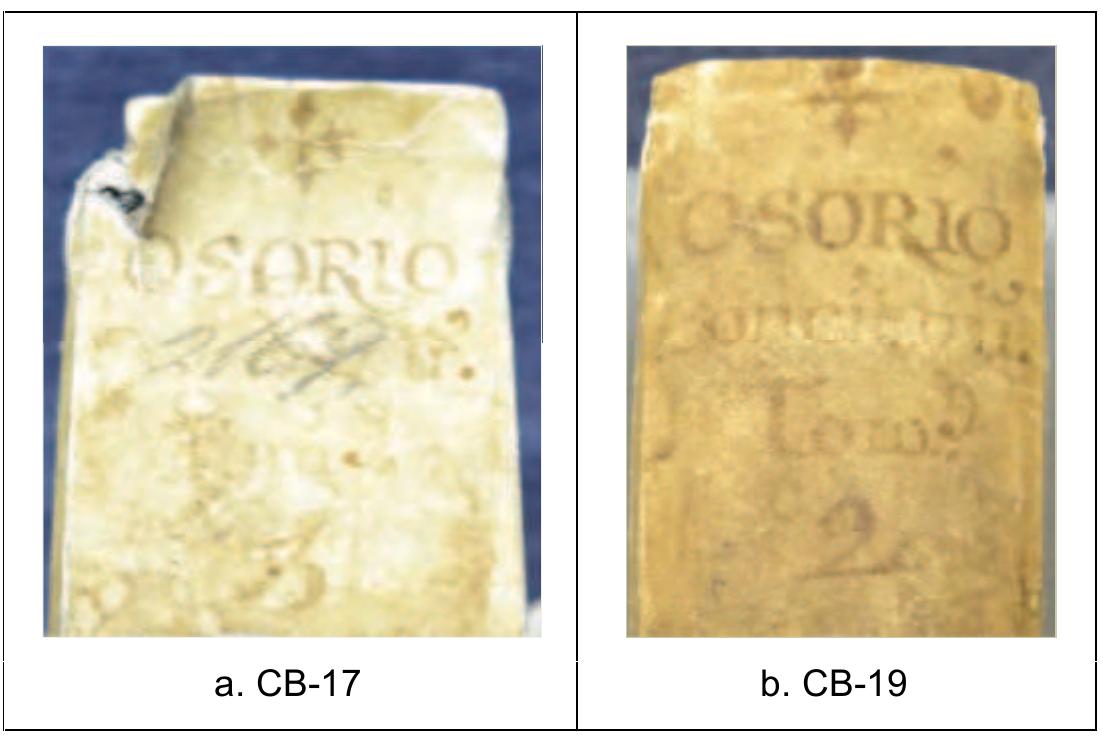 PDF) Limp, laced-case binding in parchment on sixteenth-century Mexican  printed books 2 Volumes Volume 1