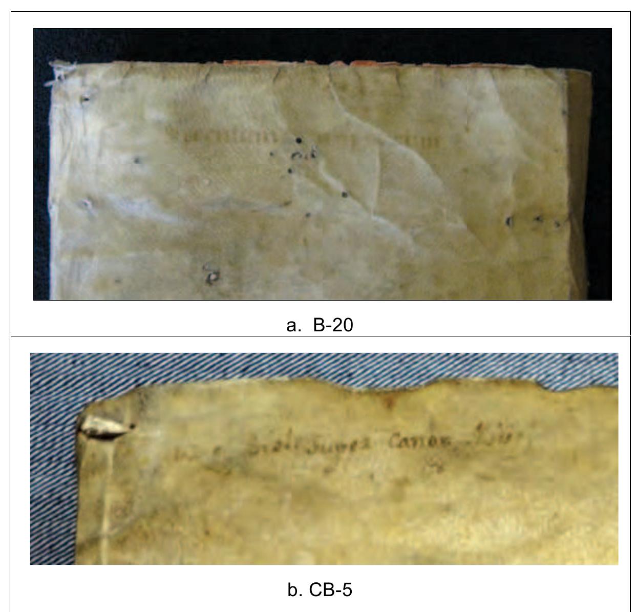 PDF) Limp, laced-case binding in parchment on sixteenth-century Mexican  printed books 2 Volumes Volume 1