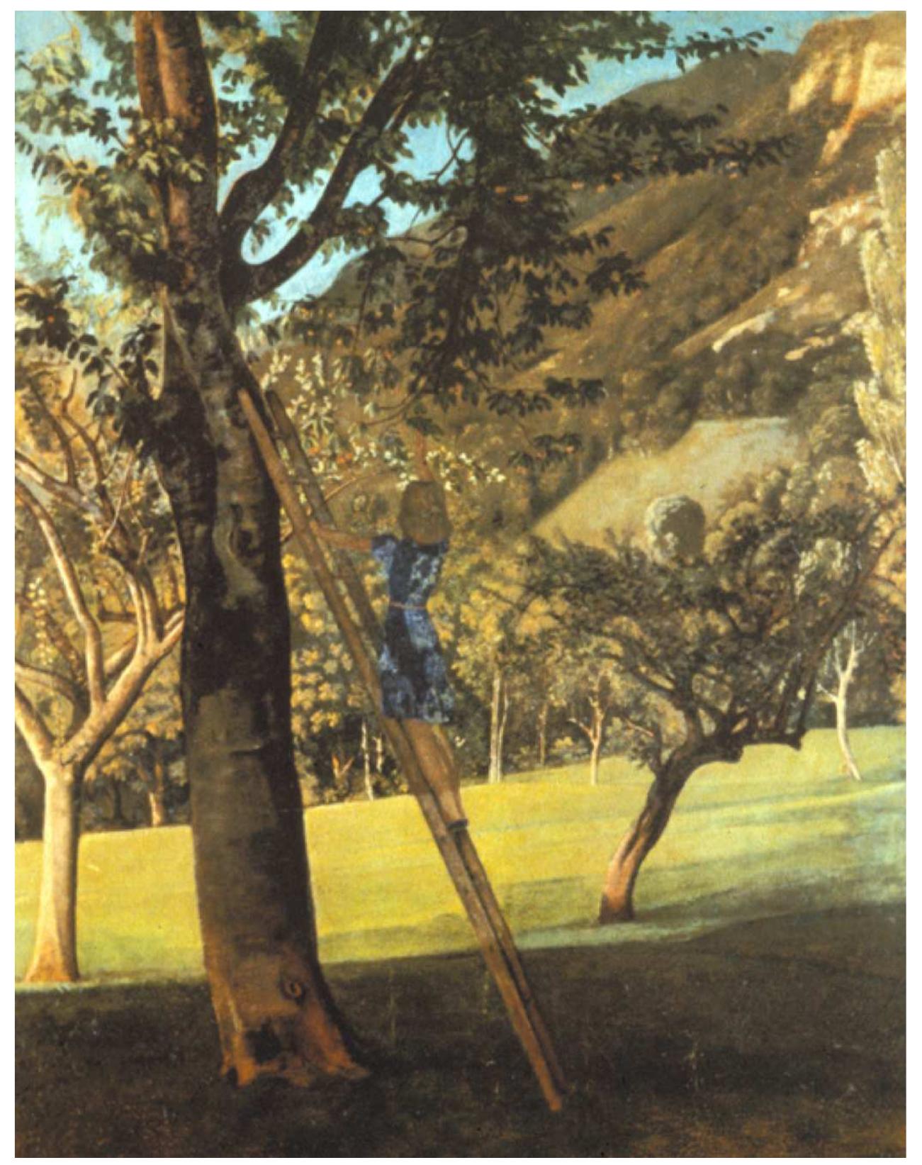 convention, in which a woman lies in a landscape, and the hills undulate with echoes of  Western perception of pictured bodies. Balthus is again a good introductory example; in  ocean, and every hill a wave rehearsing the outlines of her body.  If Western landscapes are imbued with these structures, the exception that proves  the rule is the geometrized landscape. When Cézanne painted the curve of the Mont 