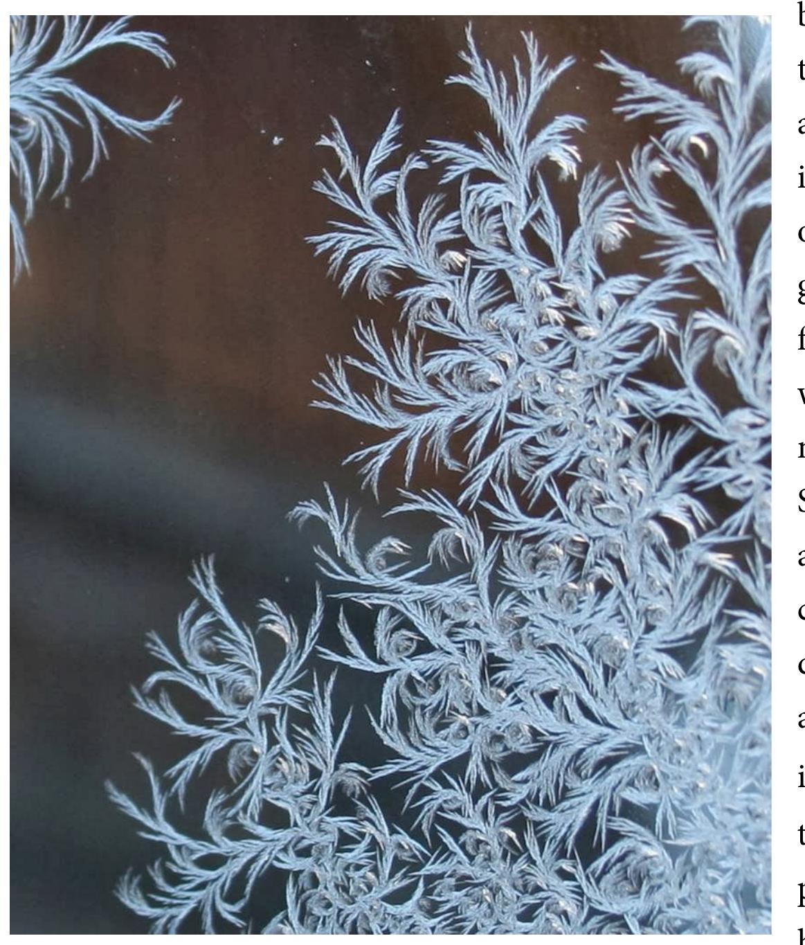 windowpane, and the apparently similar frond of a fern.” The ice flower is seductive  body could certainly begin with the opposition between life and inorganic “death.” 