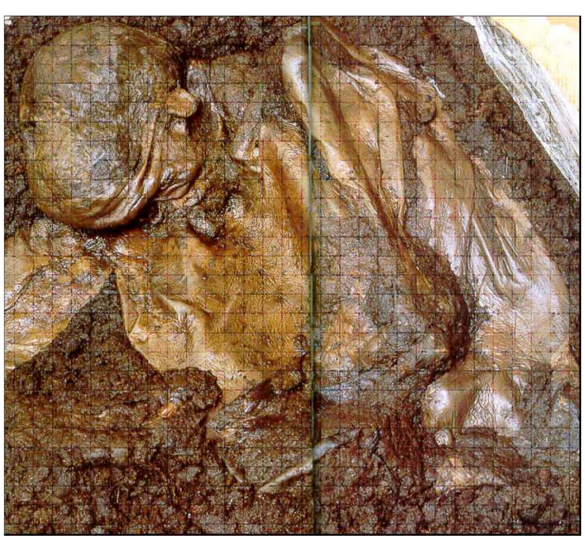 Lindow man, who was found in a bog near Wilmslow, Cheshire, is so severely wrinkled and  compressed that it is hard to see his skin as skin—it looks like what it is, rotted and preserved leather. Even so, scientific studies have managed to smooth him out (there is even a Lindow Man “topographic map,” with numbered contours like an ordinary map); and then it is easy to  comprehend the skin and what remains of the flesh.™ 