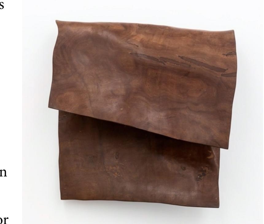 made of wood and iron pins. They both conjure skin just  pill containers stuck onto fabric. Marcelo Silveira’s Skin is  skin. Roma Blanco’s Skin is made from the metallic backing of 