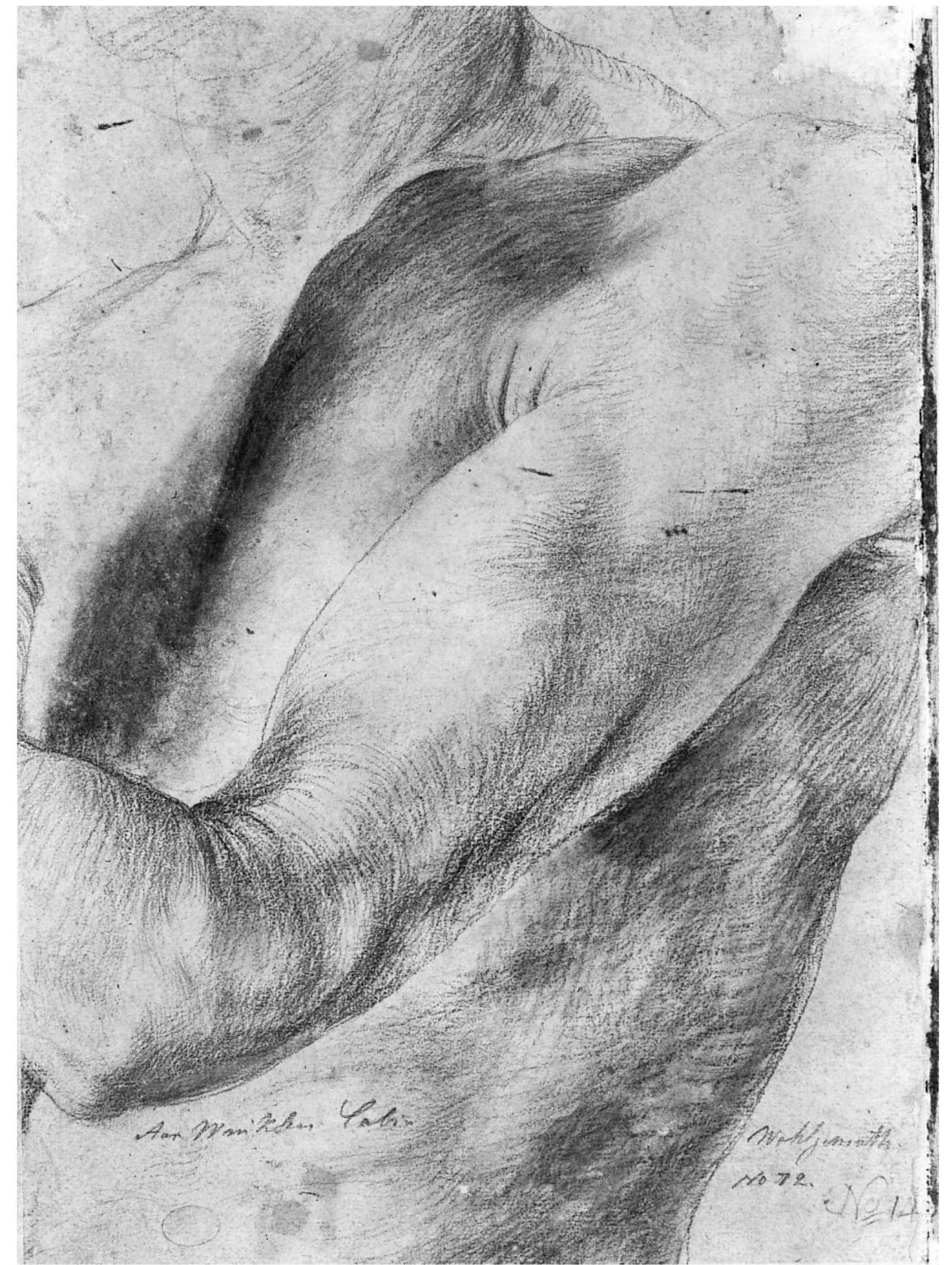 the stretched skin.® Griinewald carefully records the creases on the inside of the elbow, and he 