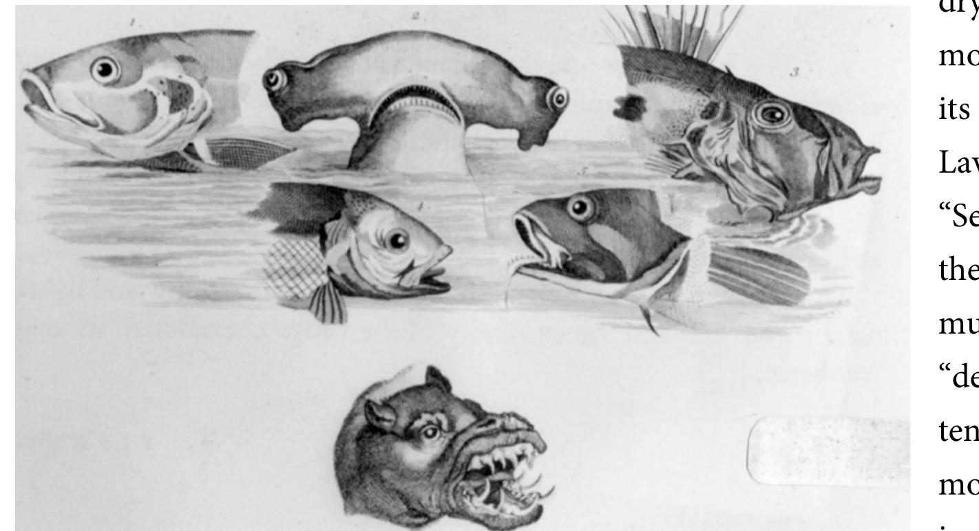 Lavater also studied parts of the face, including birthmarks and even warts, and he warns 