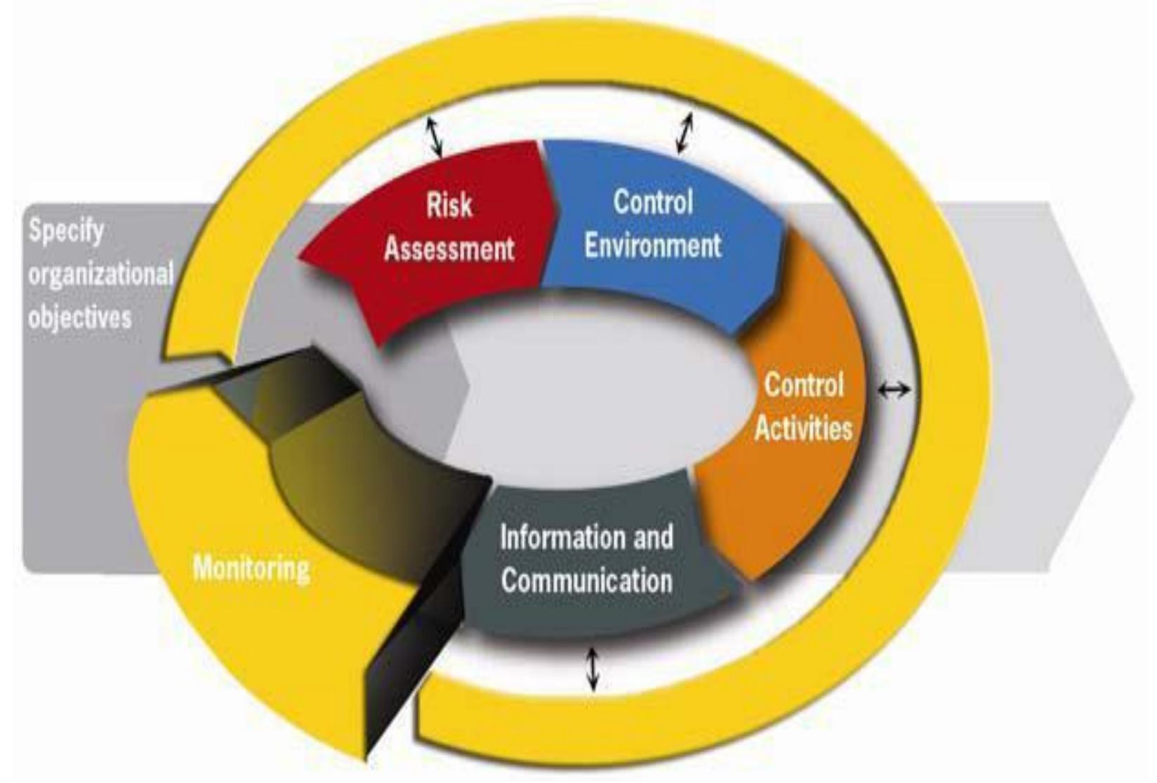 (PDF) THE IMPORTANCE OF INTERNAL CONTROL SYSTEMS IN AN ORGANISATION