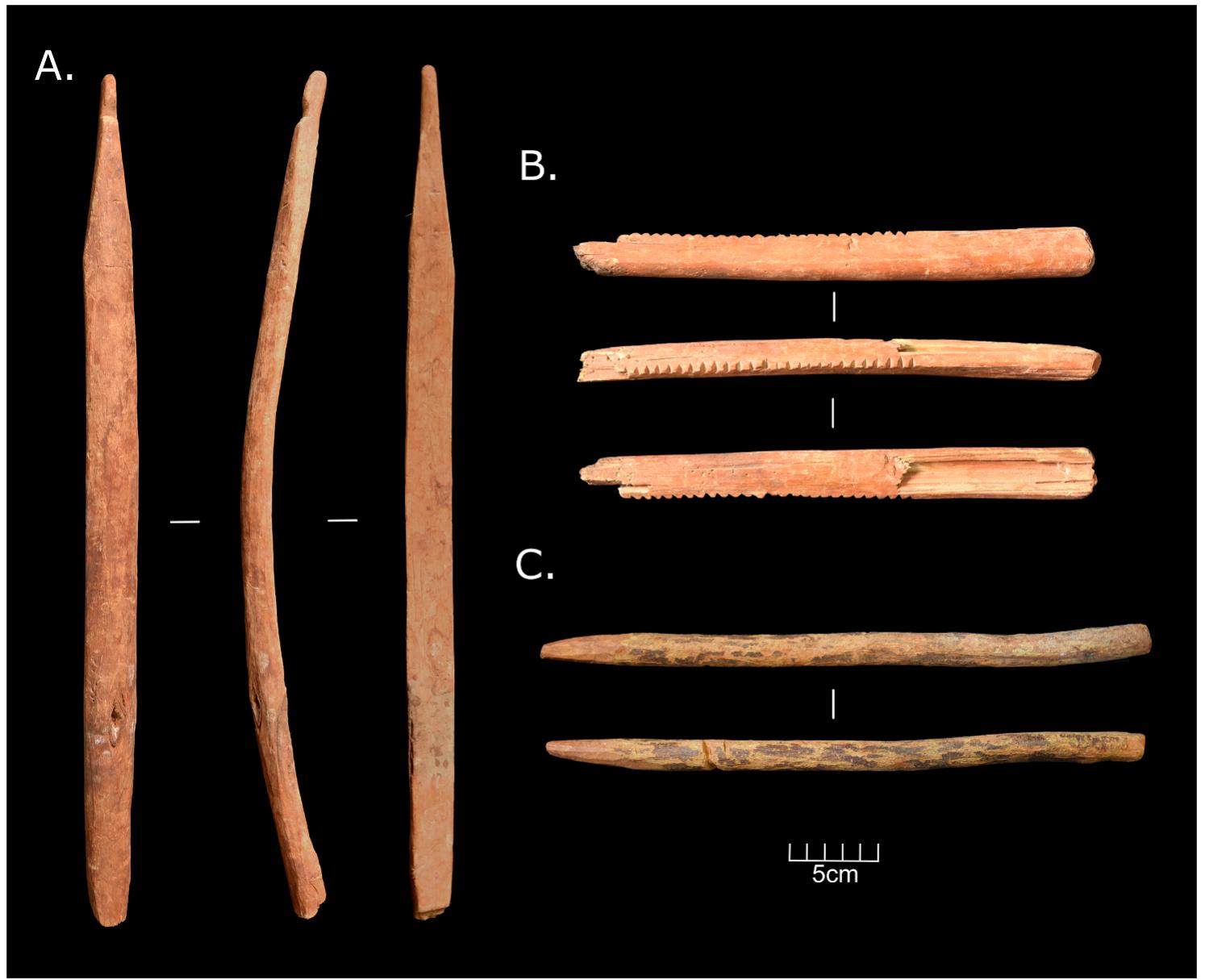 Fig. 7. Organic finds from Tsakhiryn Agui. A. Fragment of bow drill (TSA-2018-200004). B. Unused fragmented of fire-starting hearth (TSA-2018-200006), notches are preparations to allow embers to fall into tinder C. Complete fire drill (TSA-2018-200020), flattened end goes onto the hearth to create friction, and sharpened end would be placed in handhold. 