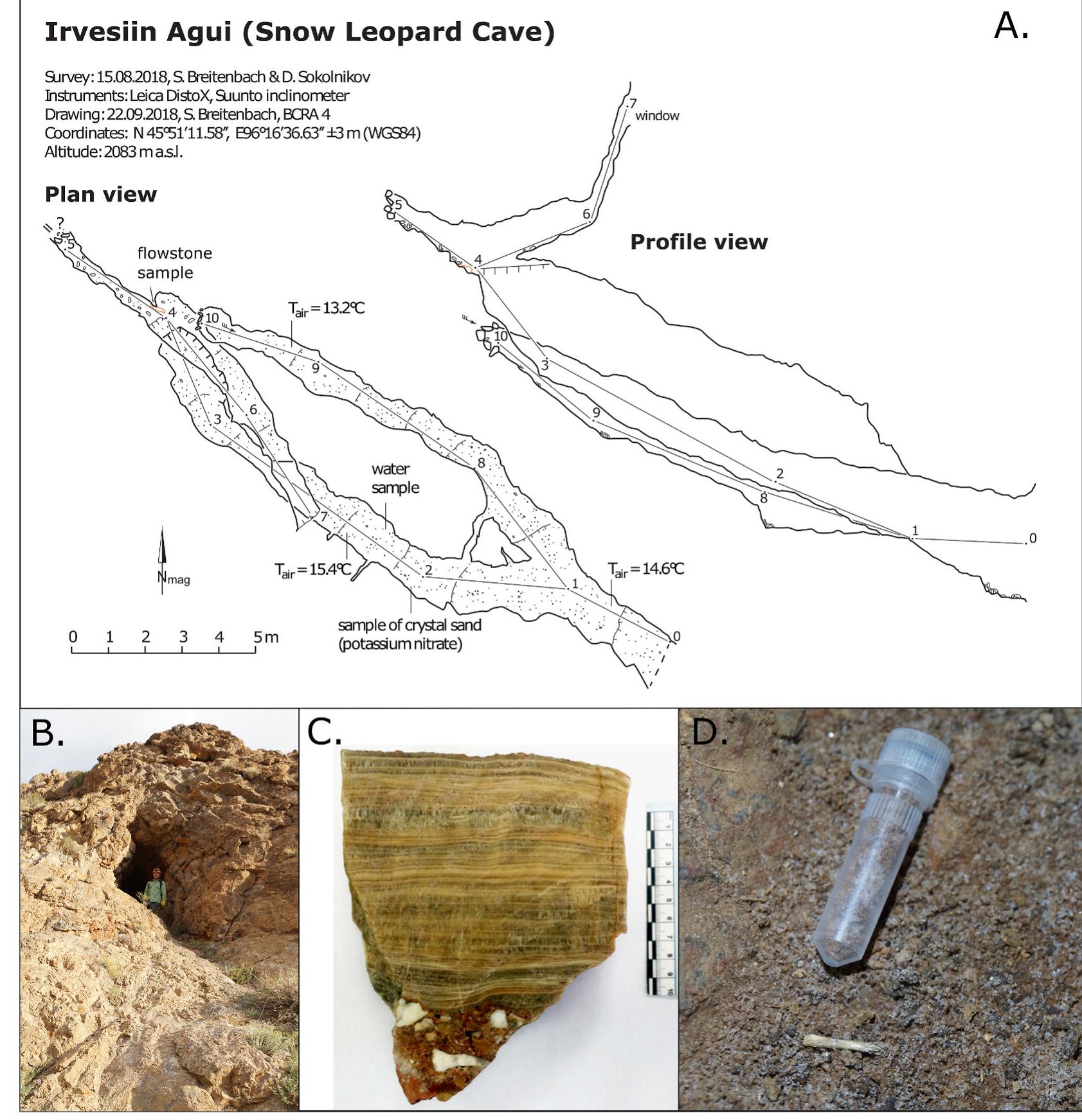 Fig. 9. A. Plan and profile of Irvesiin Agui, with labelled sampling locations. B. Entrance to Irvesiin Agui. C. Speleothem (flowstone) deposit recovered from Irvesiin Agui. Translucent calcite layers, intercalated with brownish/yellowish detrital layers, are deposited sub-horizontally on brecciated reddish-white cave sediment. D. Crystal sand sample consisting of potassium nitrate. 