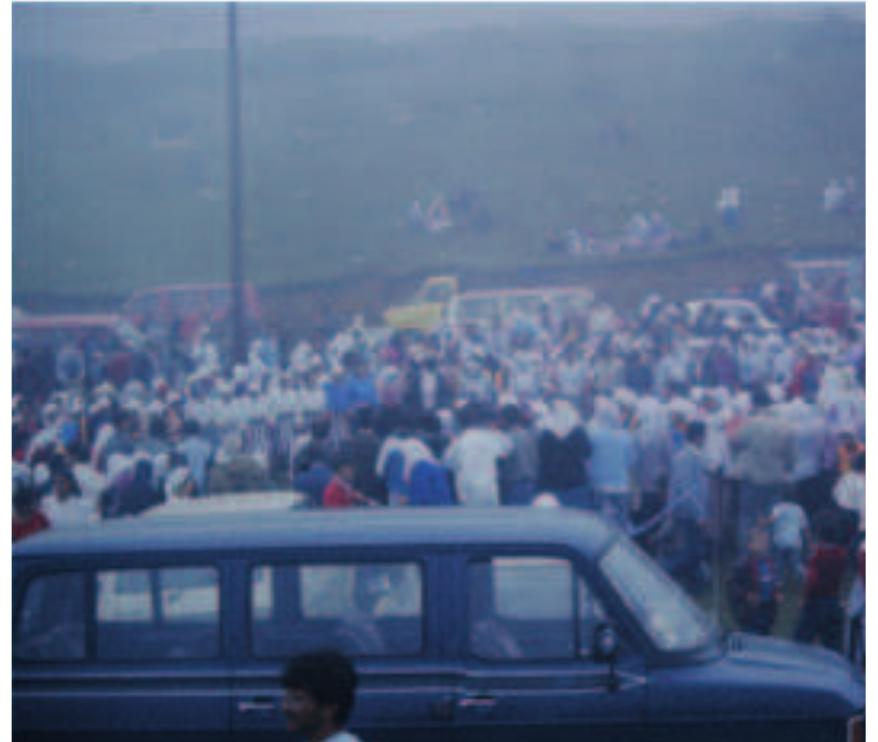 Dana Borisovaning mushuki