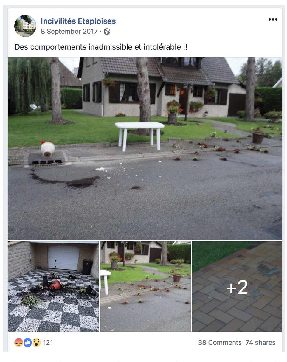 of the page.  Status translation: ‘Unacceptable and intolerable behaviour!!’.  page ot have just discovered it can be quite critical of the initiative, or deride it and make fun 