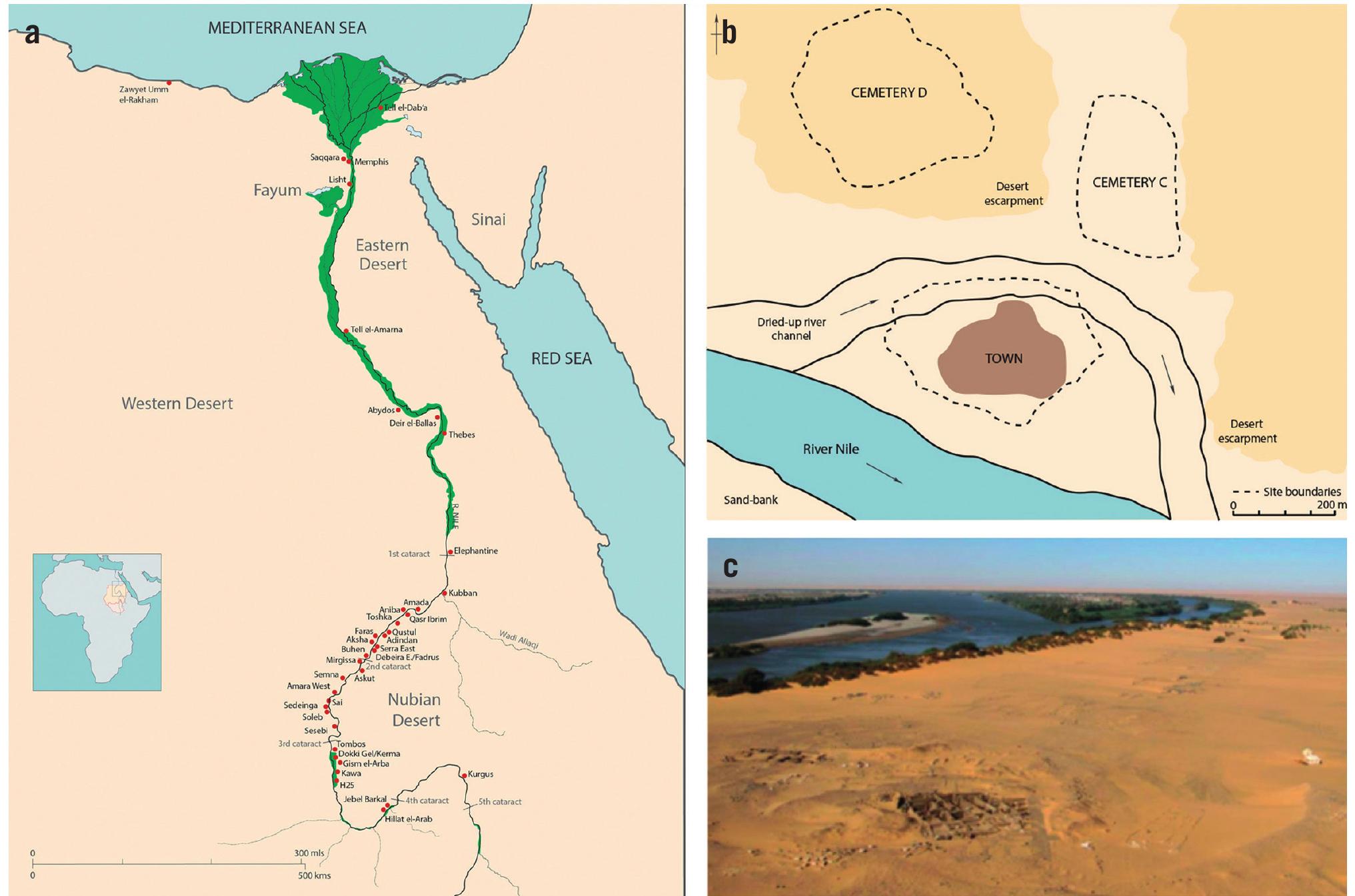 Figure 1 - from On-site conservation at Amara West in Sudan: