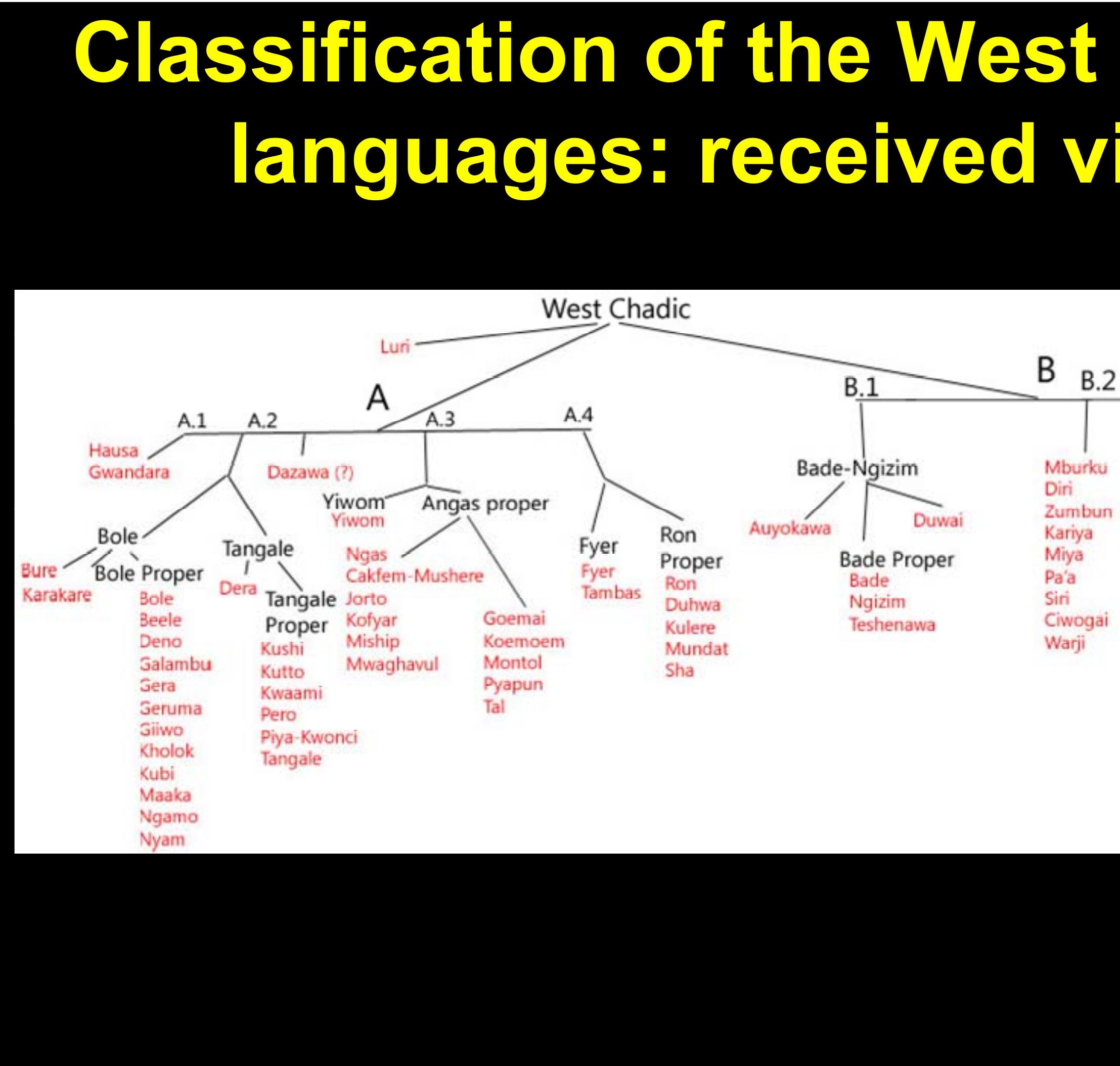 Chadic Language Table (PDF) The erosion of number marking in West Chadic
