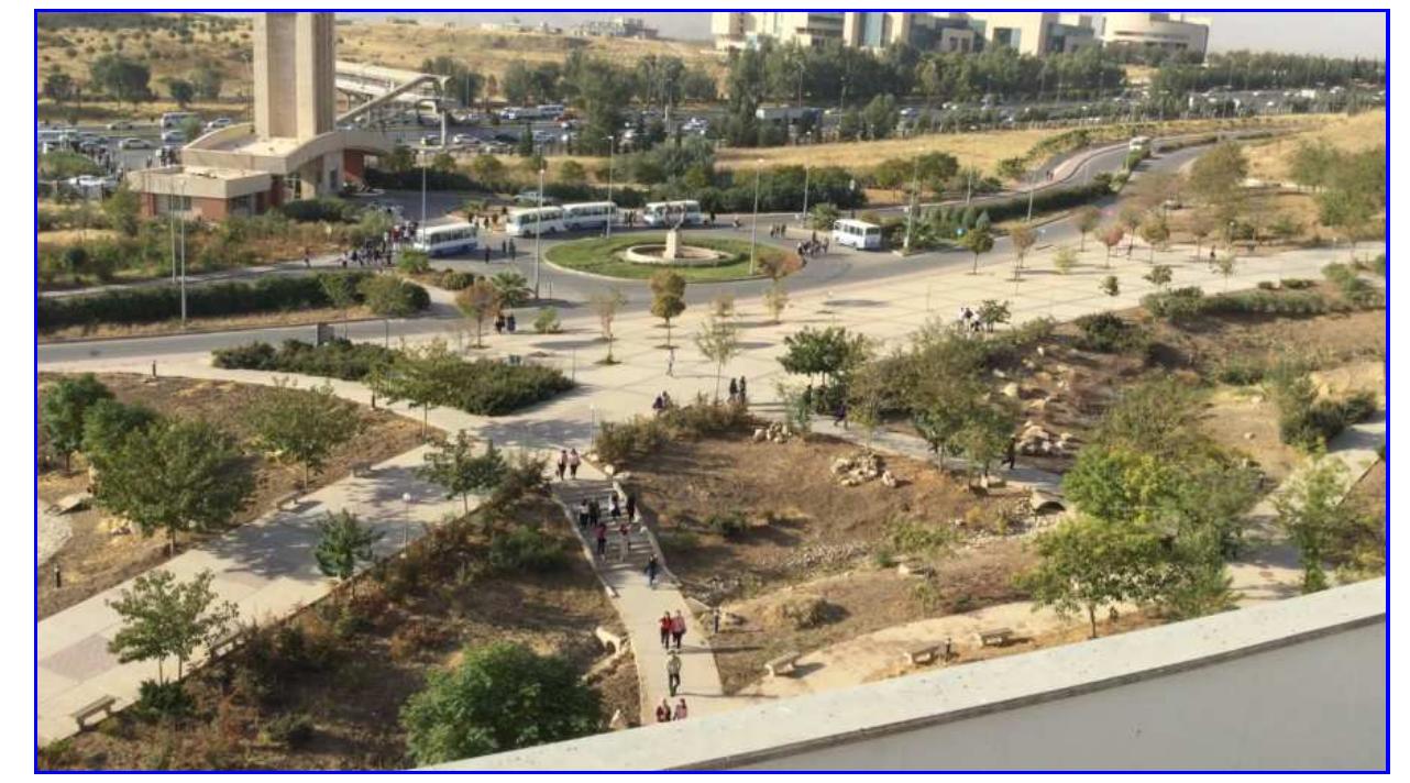 Fig. 5. A sample showing Walkway intersection with walkway (WIW), street (WIS) and ope: space (WIO), in the new campus of Sulaimani University 