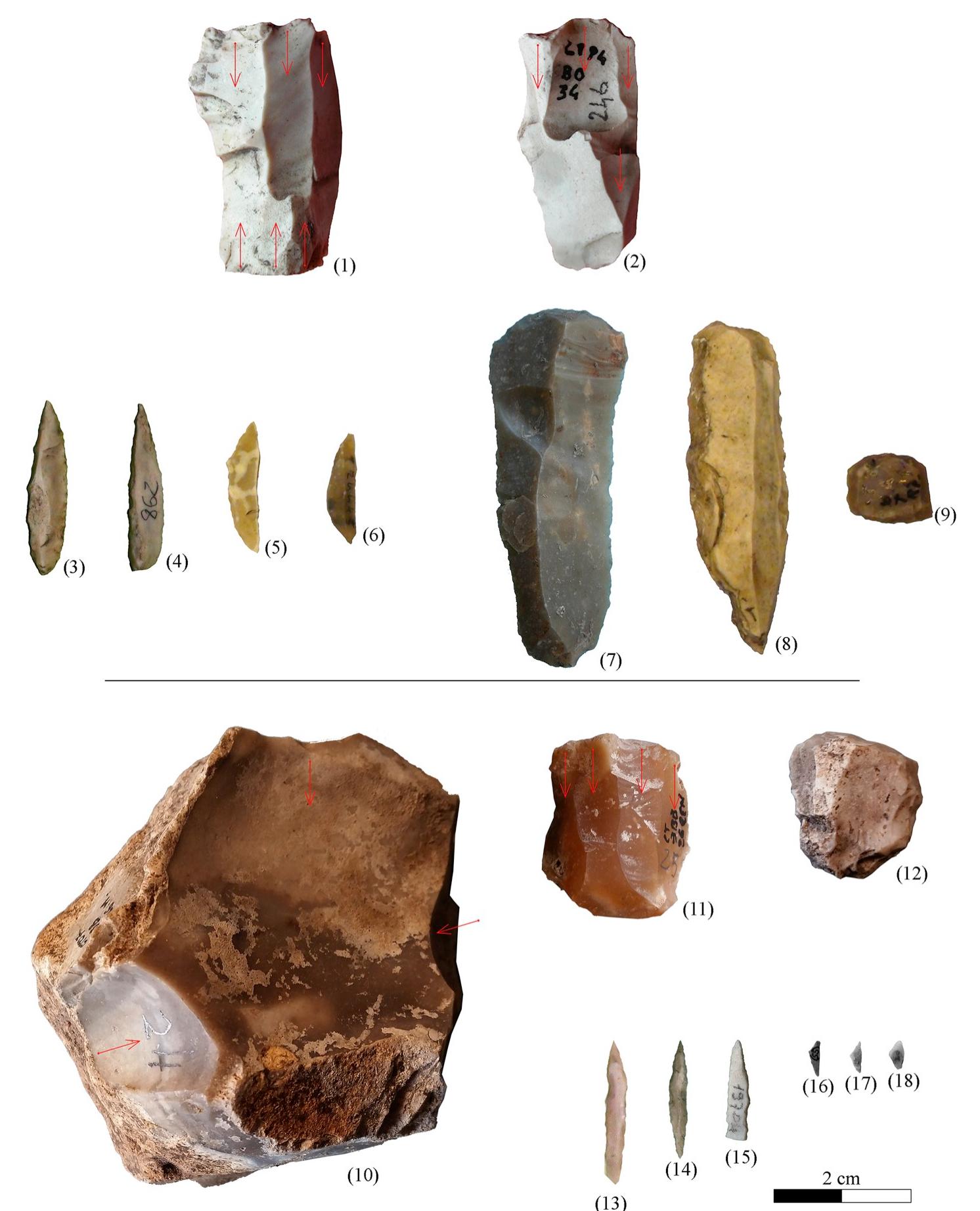 Lithic Core Primary Table 8 - Lost in transition: Between late pleistocene and